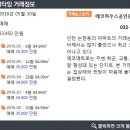 에코하우스공인중개사사무소 이미지