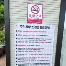 코스모스기획 | 이천 카페 코스모스 직접 만든 피자와 파스타, 에이드
