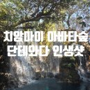 다솔상점 | 치앙마이 3일차 | 아바타카페 치앙마이 감성 단테와다 Dantewada 카페 인생샷 추천