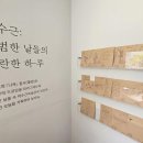 빛-자작나무 이미지