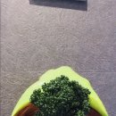 회롱회롱 이미지