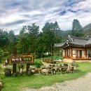 힐링숲민박 이미지