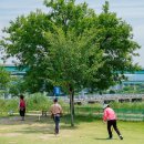 하천(유등천(4) 이미지