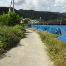 홍계마을 이미지