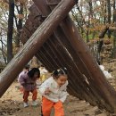 꿩고개 유아숲체험원 이미지