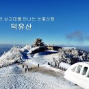 반딧골한우 이미지