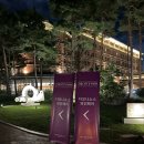 호텔와인 | 2025 메이필드호텔 디오니소스 와인페어(어텀) 솔직 후기