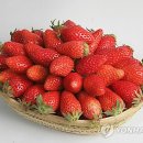 하늘그린㈜ 이미지