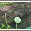 호수농원가든 이미지