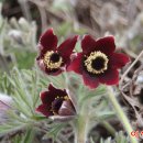 이시돌쉼터 이미지