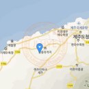 제주애월의꿈