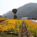 화&순 이미지