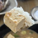 섬그리고뜰 | 안산 반달섬맛집 종가집민물새우수제비매운탕, 청국장&생선구이 후기