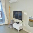 터 애견펜션 이미지