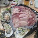 신선수산 티스토리