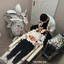 뮤즈의원 이미지