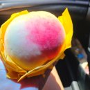 무인다방 전북무주점 | 영동 학산포도 X 무주 앞섬마을복숭아 과일구매 나들이 (feat. 무인다방 후기)