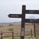 갈대습지공원 이미지