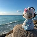 참사랑유치원(집단급식소) | 모든 걸 아는 줄만 알았던 때