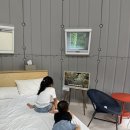 이글루 - 남양주시 북한강로1621번길 96 | [경기/양평] 계곡이 있는 “에코이글루” 글램핑 A2 후기