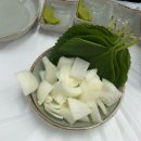여수 오동도 주변 횟집 &#34;별주부횟집&#34; 하모샤브샤브 모듬회 내돈내산 n번째 방문 후기.