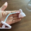 뽀짝뽀짝 | [내돈내산] 테무 쇼핑 후기_귀염 뽀짝 집게 미니 스탠드