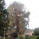 분토농장 이미지