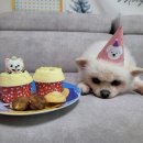 댕댕마을 이미지