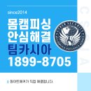 영상통화사기 당했다면 가장 먼저 확인해야 할 대응방법 이미지
