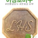 고은LHS