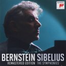 장미별장여관 | 시벨리우스 교향곡 2번 Op.43 : Leonard Bernstein · New York Philharmonic Orchestra