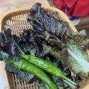 녹차밀면갈비마을 이미지