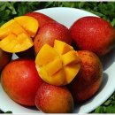 봉수농장 이미지