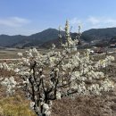 승원주유소 이미지