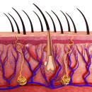 동안의원 이미지