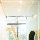 고양이이발관 송도점 이미지