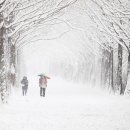 대지-2010 이미지