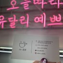 살롱유달리 이미지