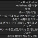 차크라 네이버블로그