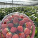 고흥팜2농장 이미지