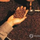 커피출판사 이미지