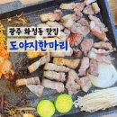 아라도야지 이미지
