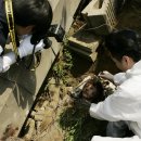 세븐데이즈 이미지