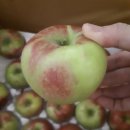 성재농장 이미지