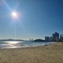 [블루라인파크] 해운대 블루라인파크 / 자갈치 신동아시장 청아상회