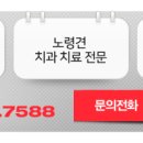 수서동물병원