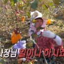 김인석농장 이미지