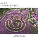 신소양체육공원 이미지