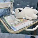 동강치과의원 | 센텀 첫사랑니치과 매복사랑니 2개 발치 후기