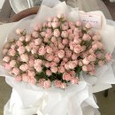 플로애